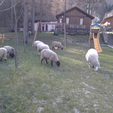 B&B La Miando Salza di Pinerolo Eksteriør bilde