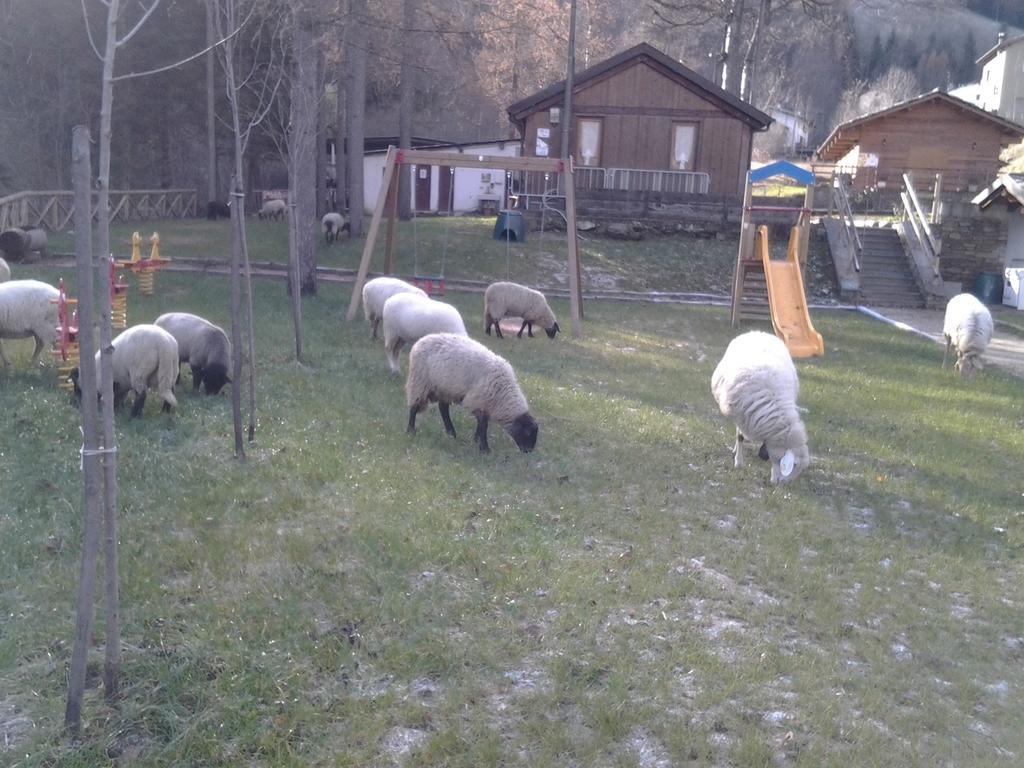 B&B La Miando Salza di Pinerolo Eksteriør bilde